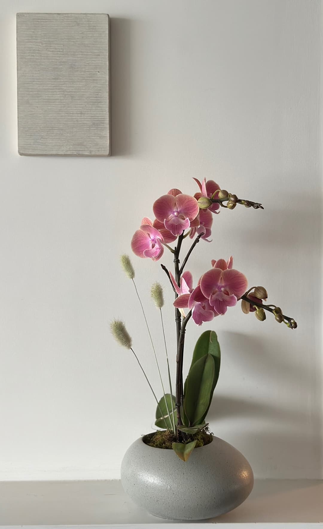 l 사이즈 제품 이미지 2