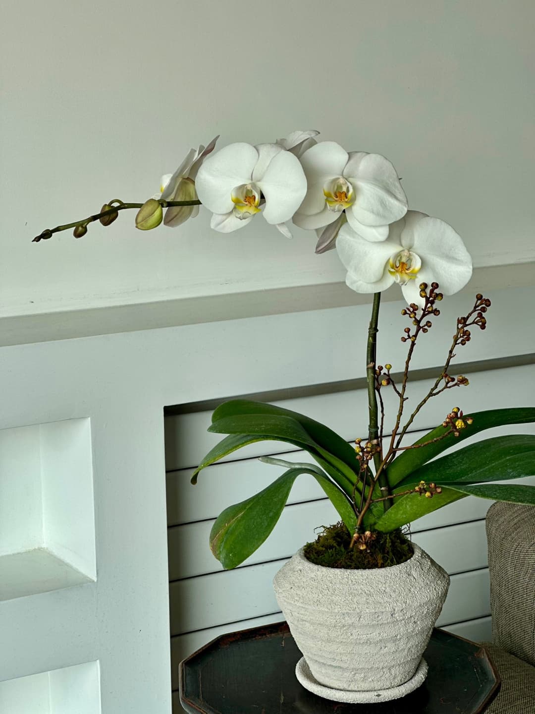 l 사이즈 제품 이미지 8