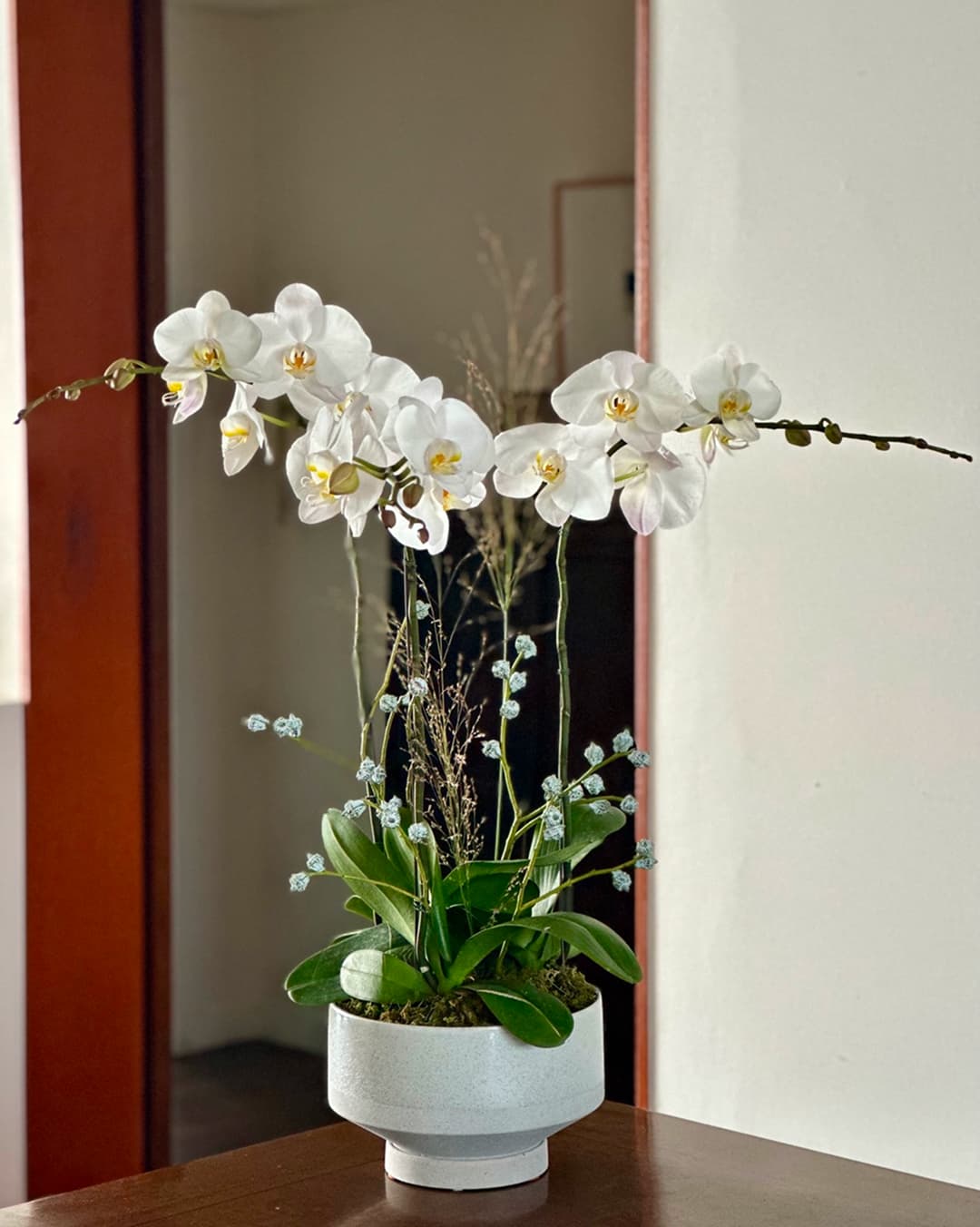 l 사이즈 제품 이미지 5