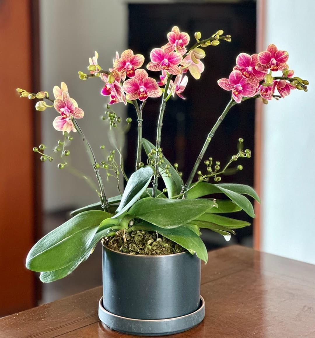 l 사이즈 제품 이미지 9