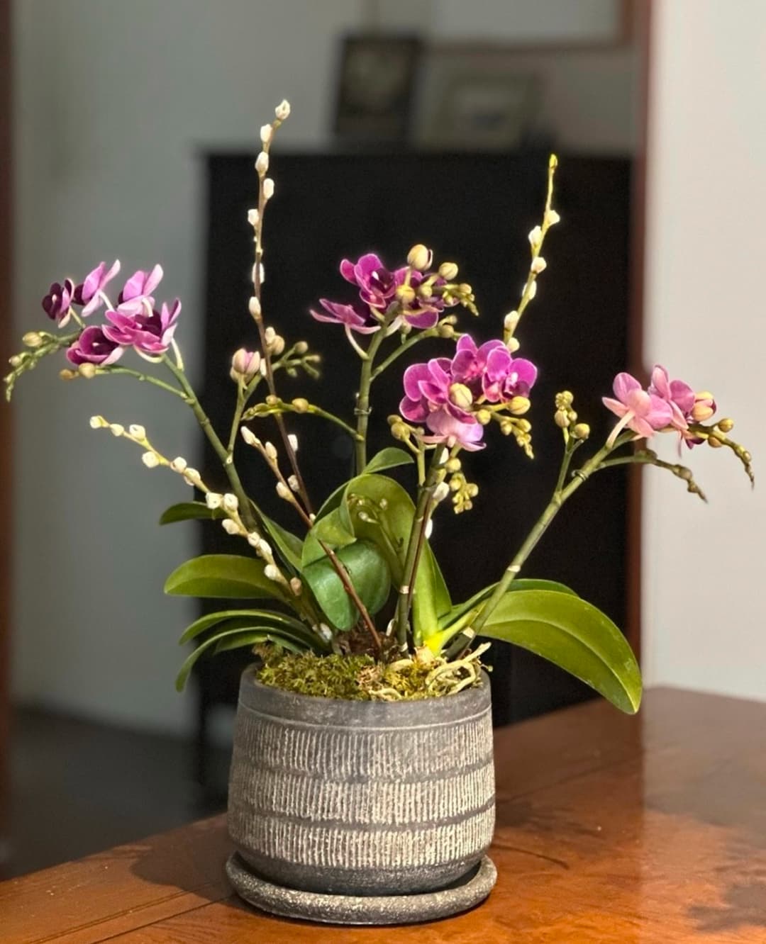 l 사이즈 제품 이미지 8