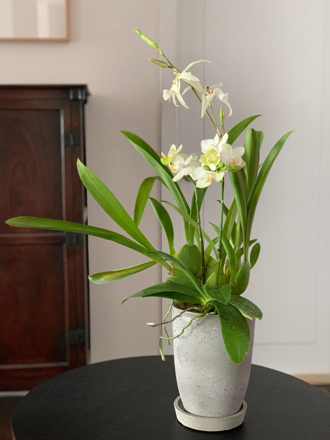 l 사이즈 제품 이미지 12