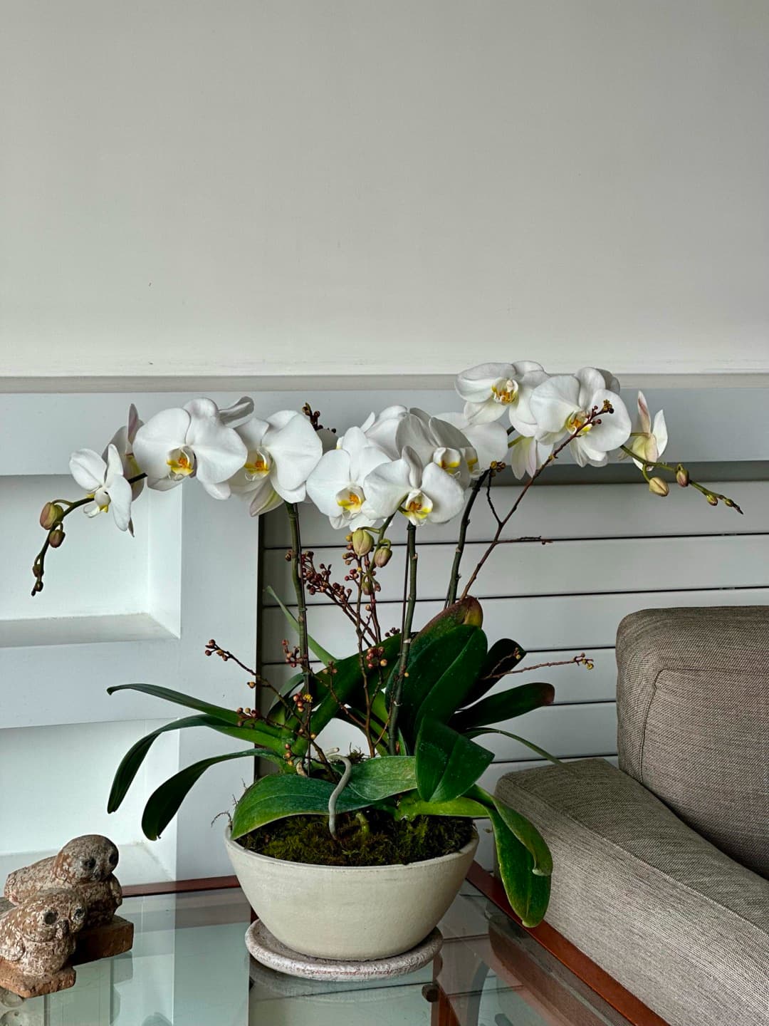 l 사이즈 제품 이미지 1