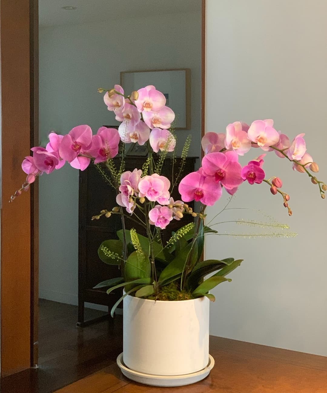 l 사이즈 제품 이미지 3