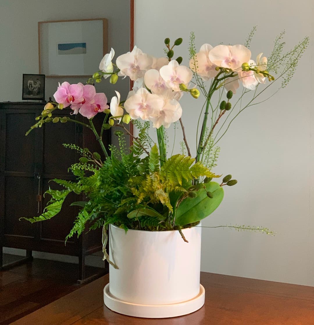 l 사이즈 제품 이미지 6