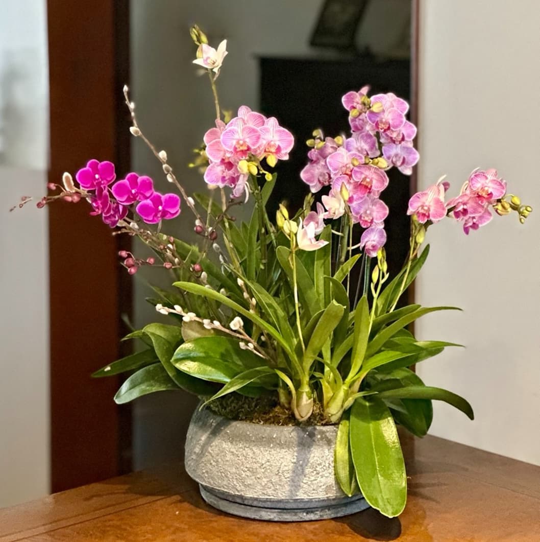 l 사이즈 제품 이미지 7