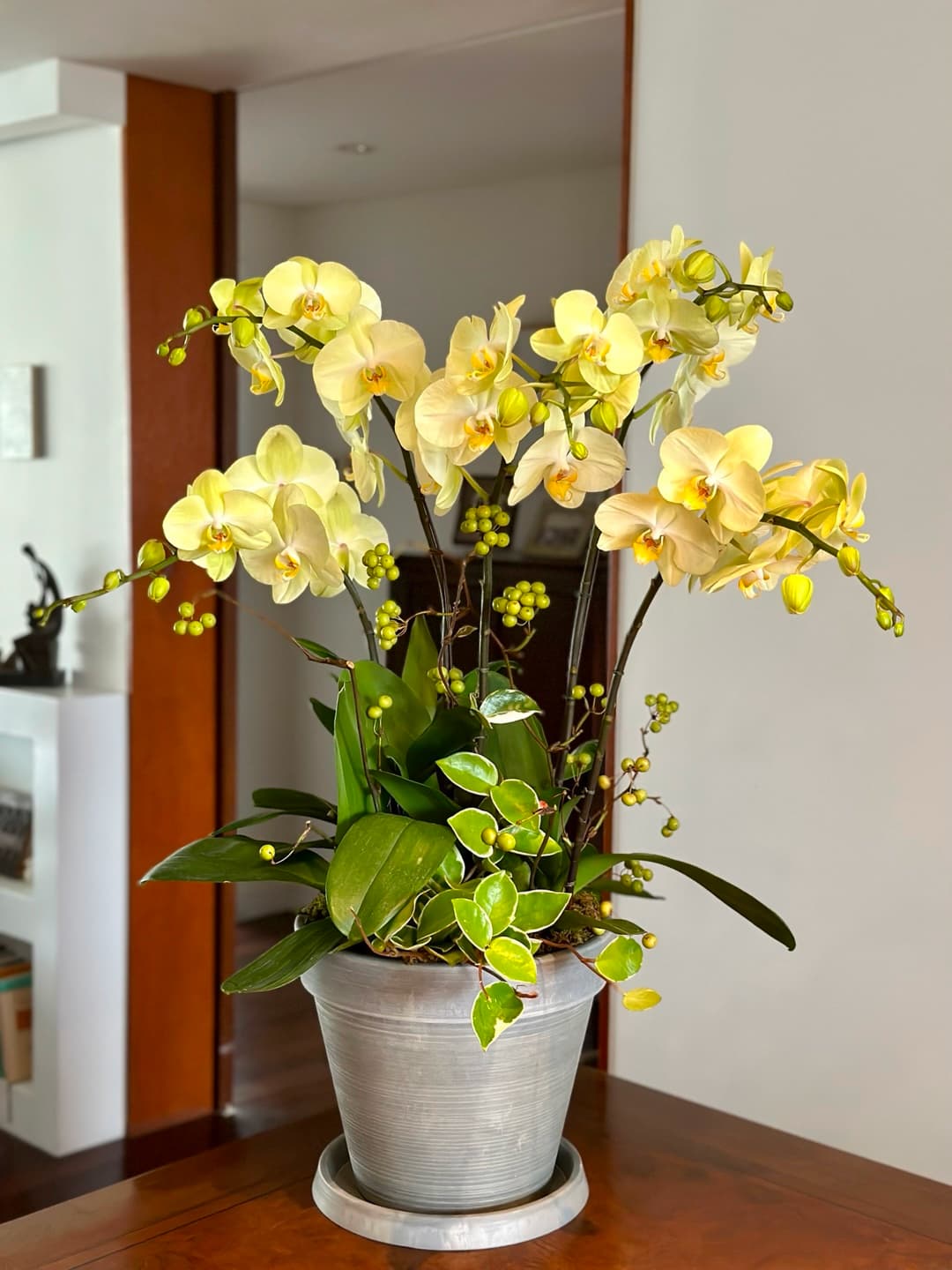 l 사이즈 제품 이미지 5