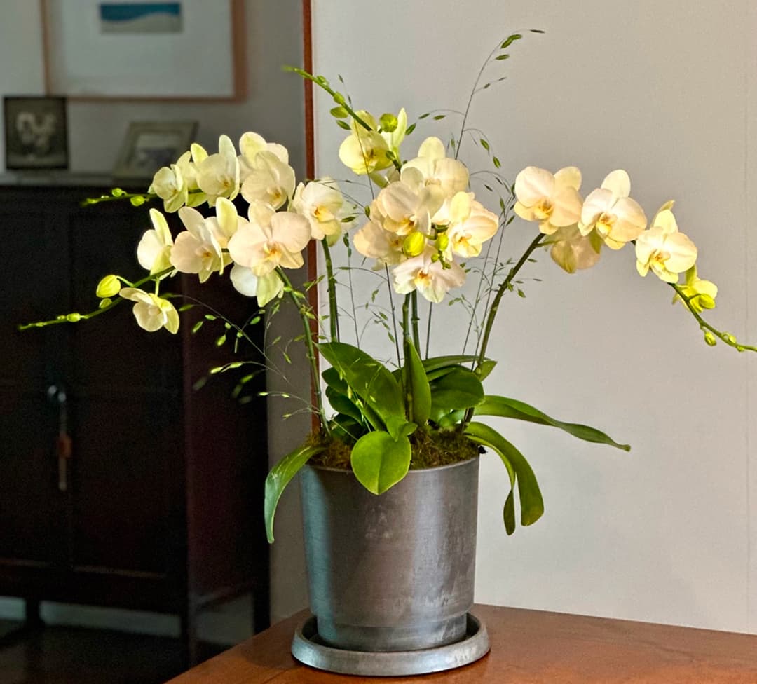 l 사이즈 제품 이미지 9