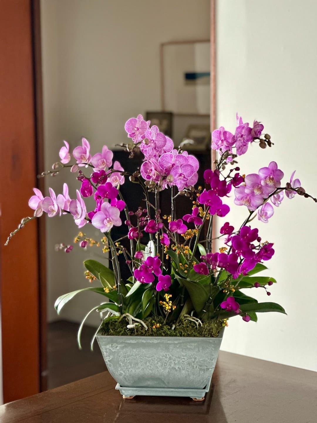 l 사이즈 제품 이미지 11