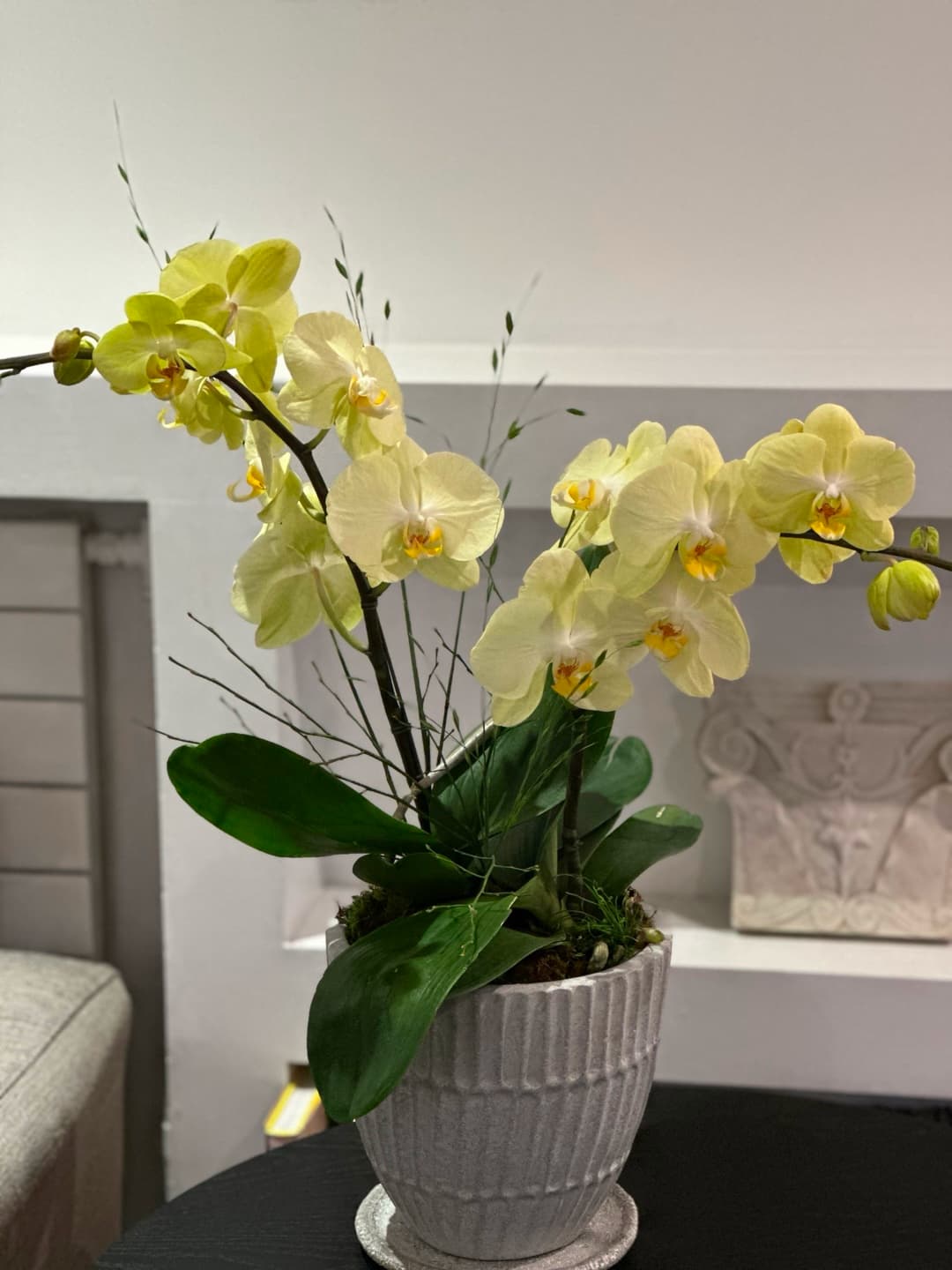 l 사이즈 제품 이미지 1