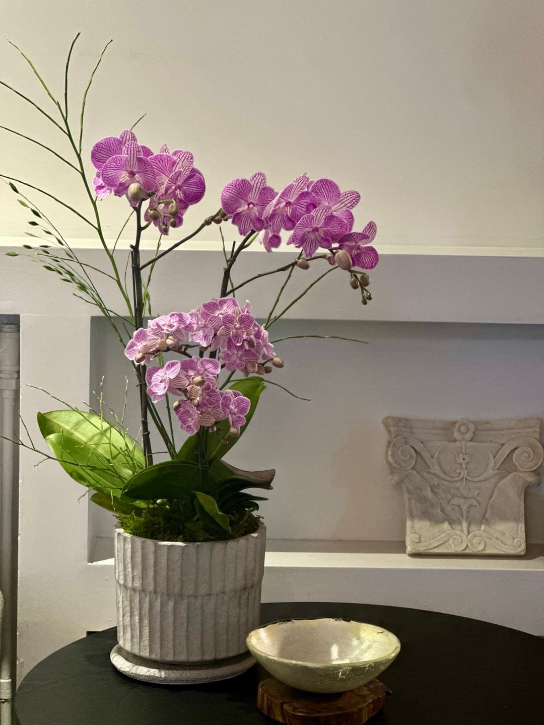 l 사이즈 제품 이미지 7